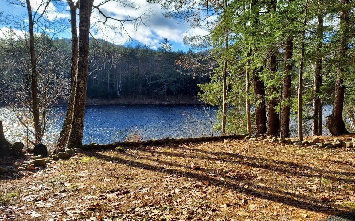 Photo of Others in The Glen