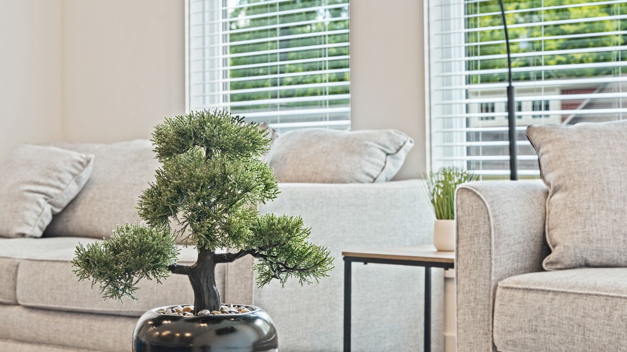Photo of Livingroom in Eastwood