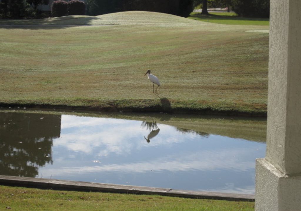 Photo of Outdoor in Calabash
