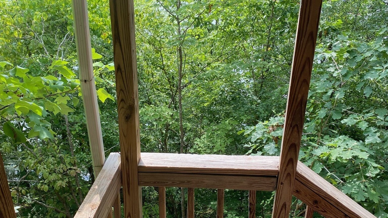 Photo of Outdoor in Albemarle