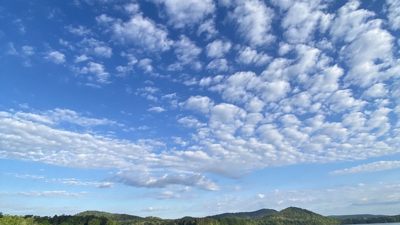 Photo of Outdoor in Albemarle