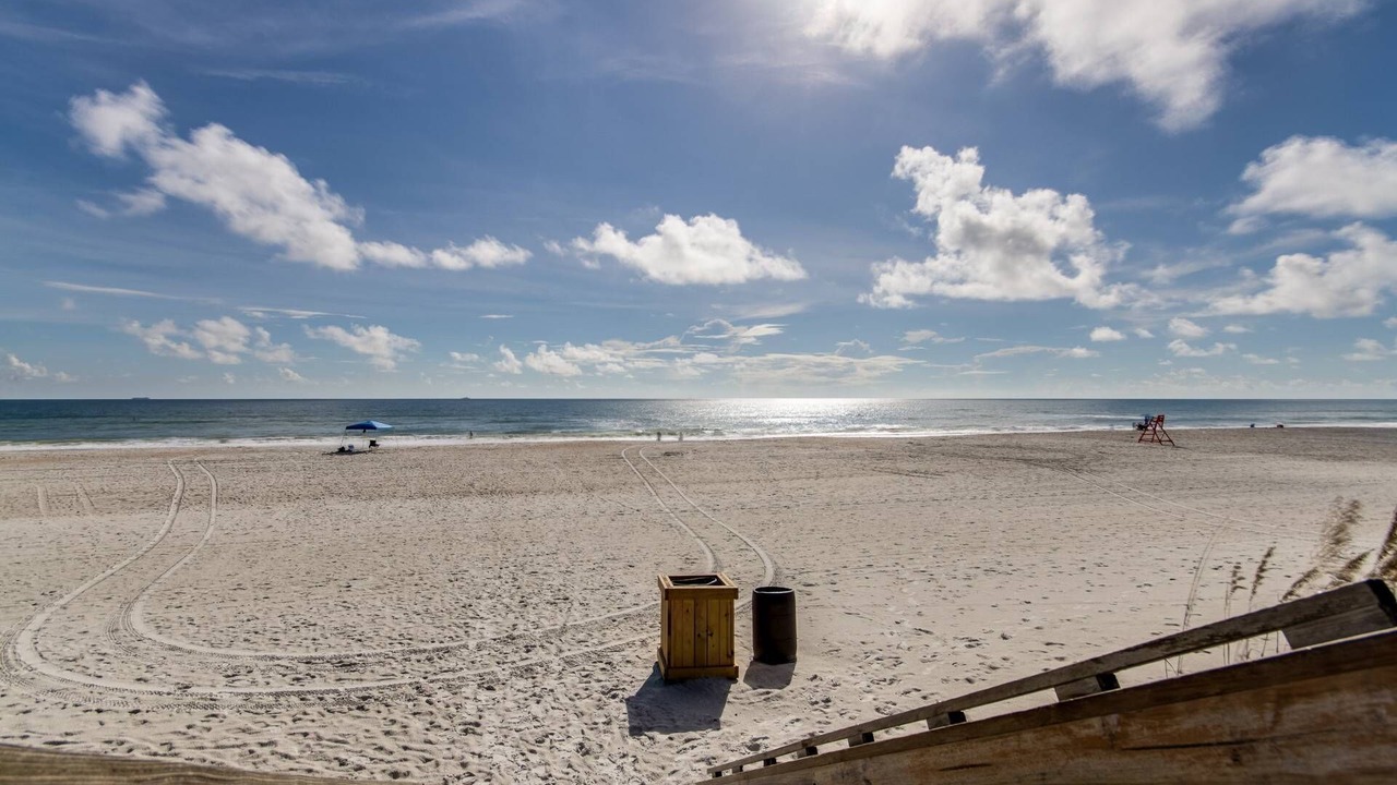 Photo of Others in Jacksonville Beach