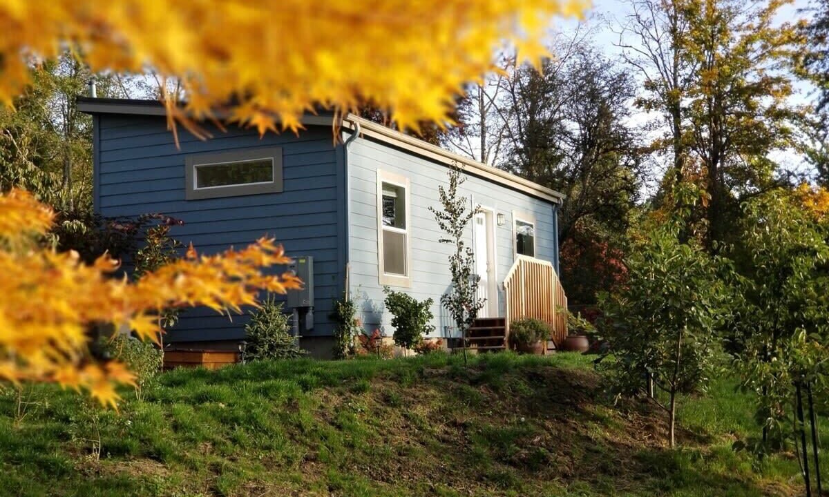 Photo of Outdoor in Bridlemile