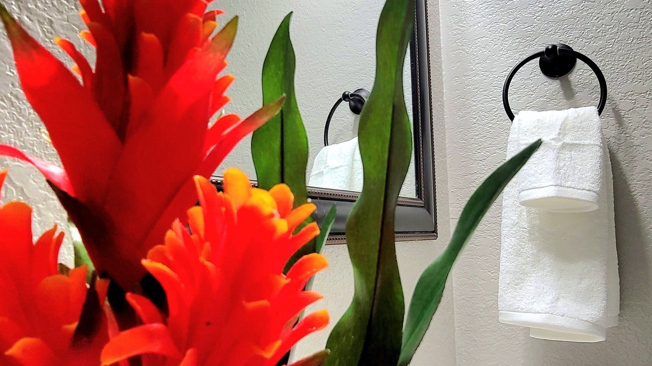 Photo of Bathroom in Northwest Arvada