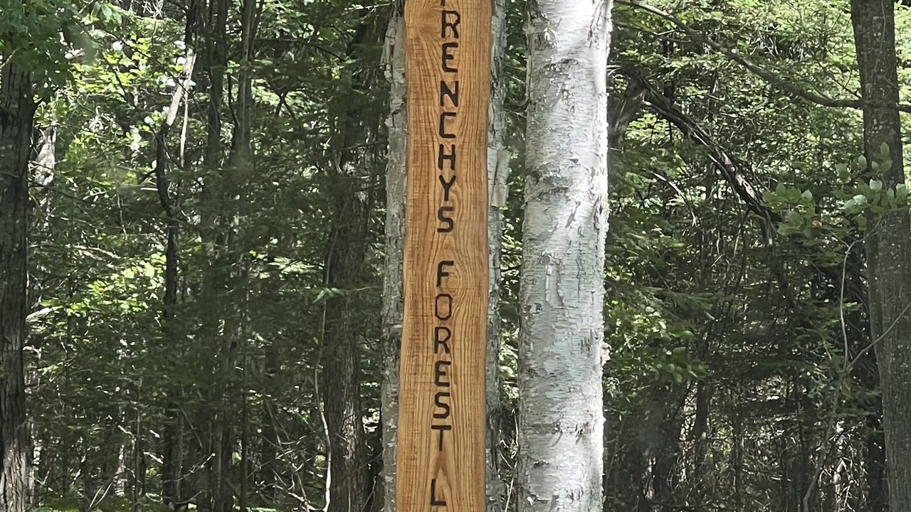 Photo of Outdoor in Cornell