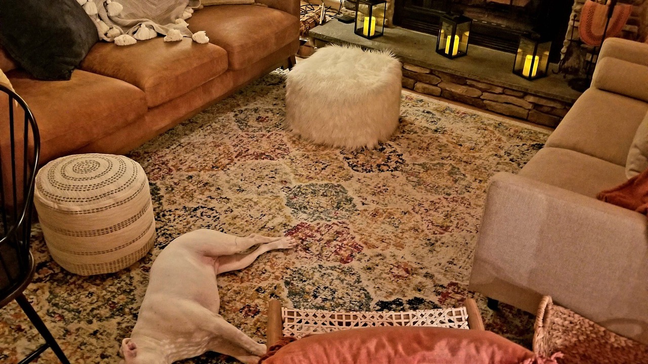 Photo of Livingroom in Windham