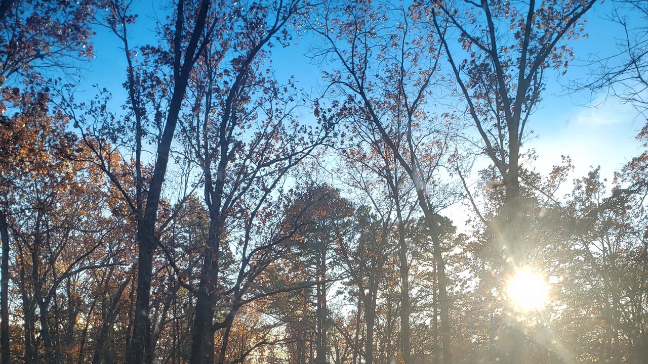Photo of Outdoor in Eminence