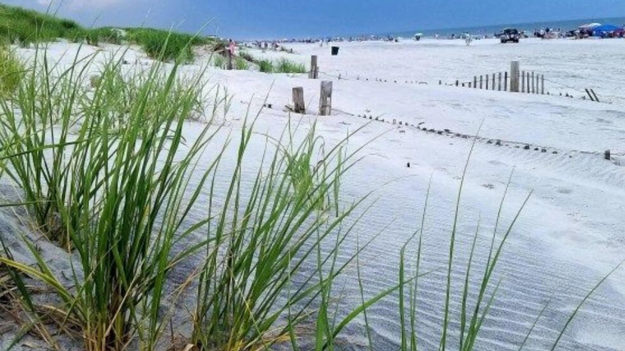 Photo of Others in Brigantine