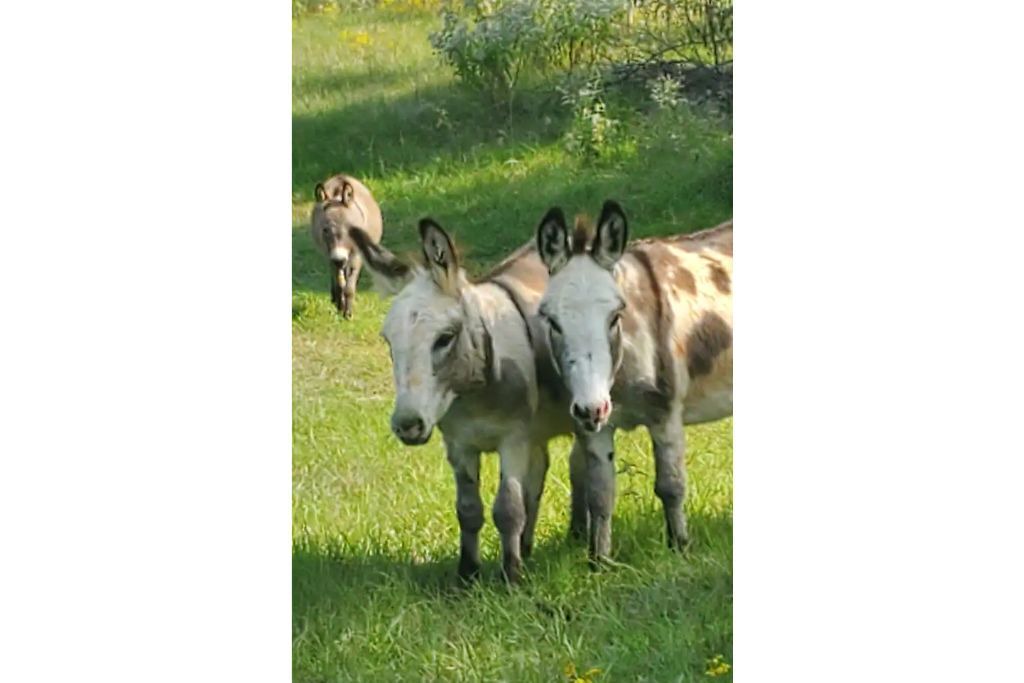 Photo of Others in Big Sandy