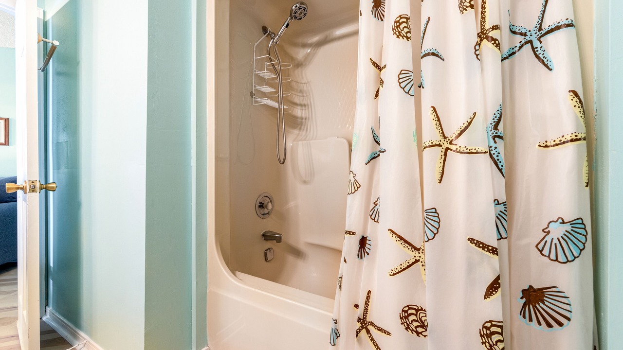 Photo of Bathroom in Gulf Lagoon Beach
