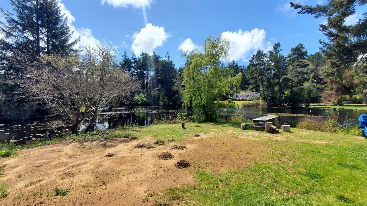 Photo of Others in Saunders Lake