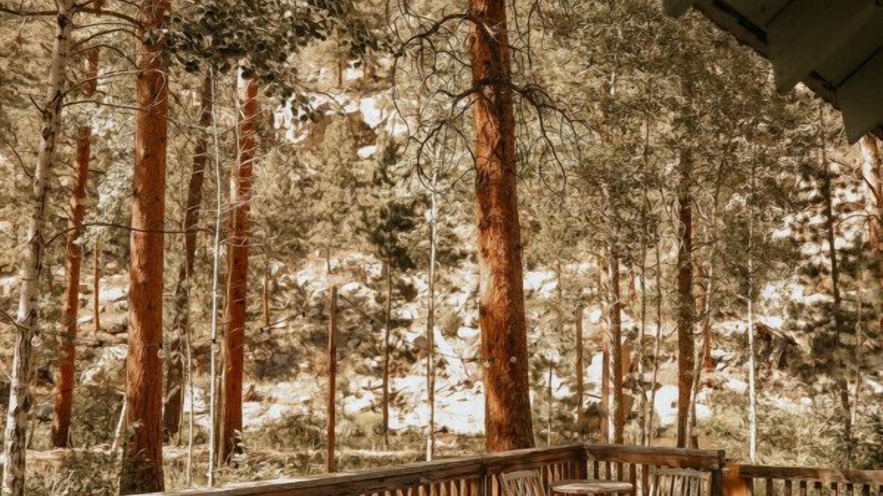 Photo of Outdoor in Drake