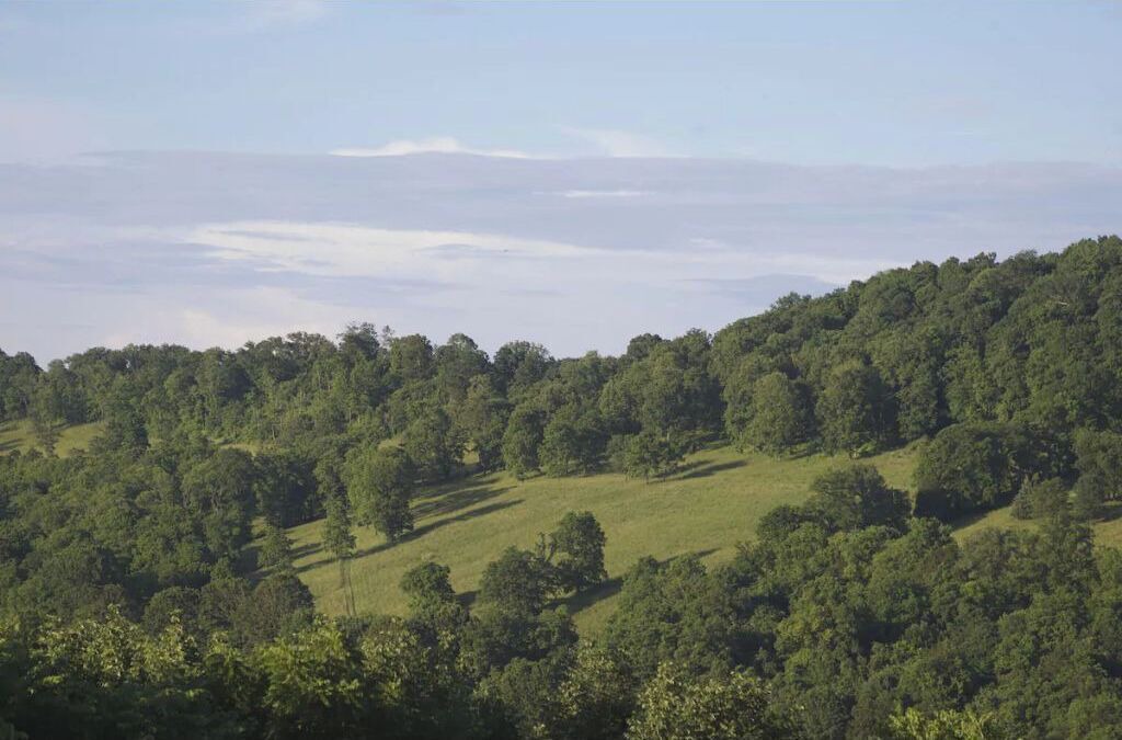 Photo of Others in Chestnut Mound