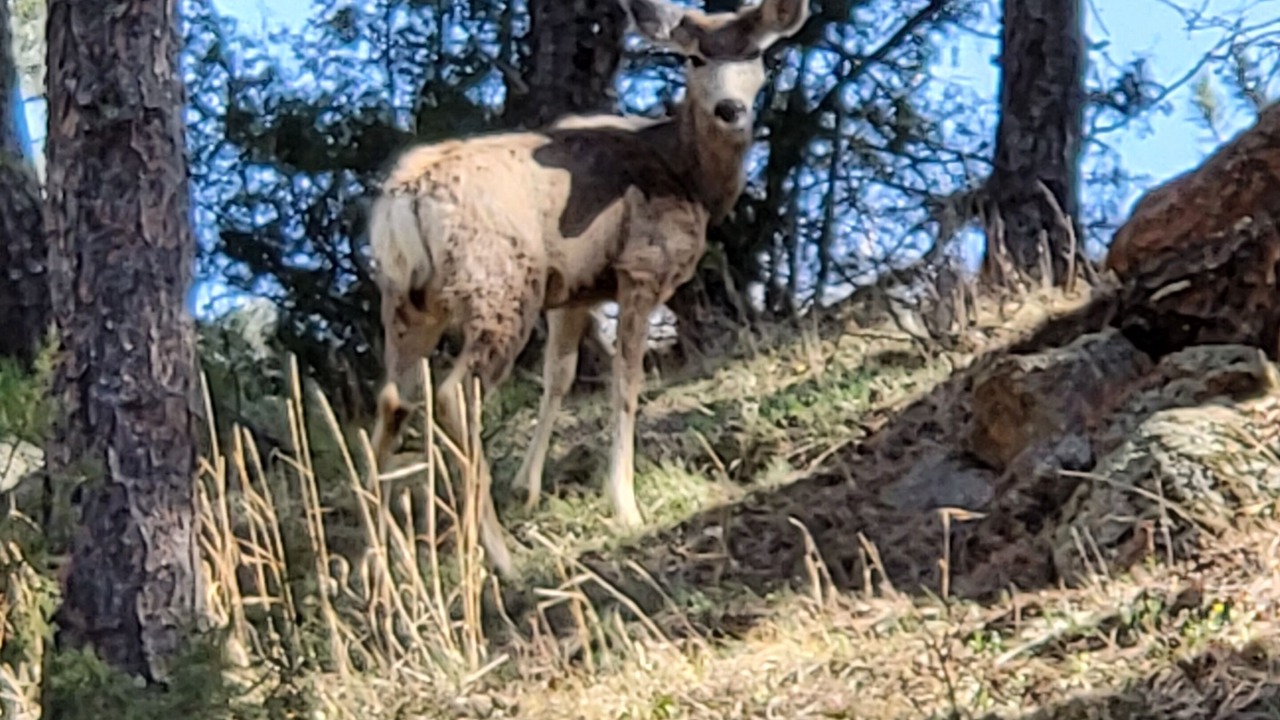 Photo of Others in Lyons