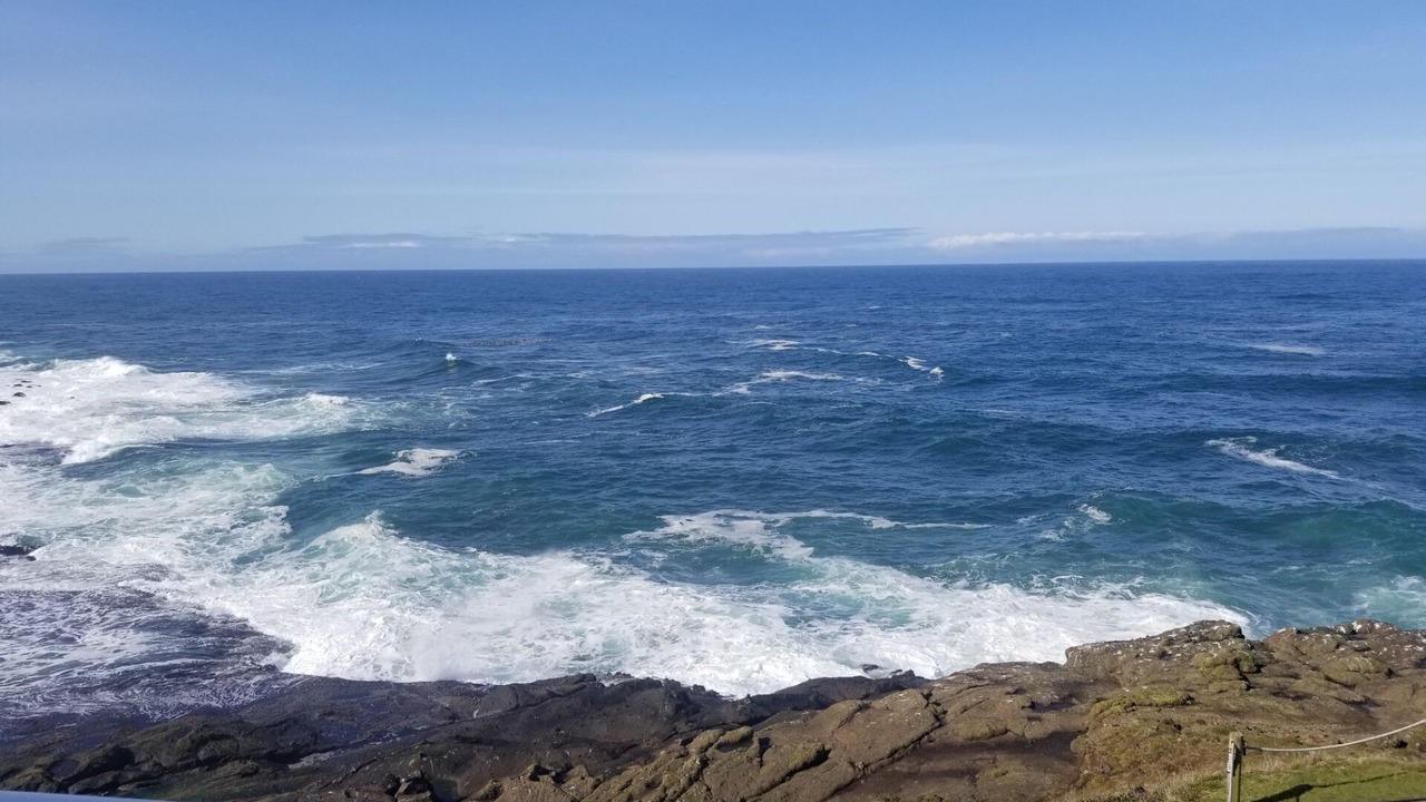 Photo of Others in Depoe Bay