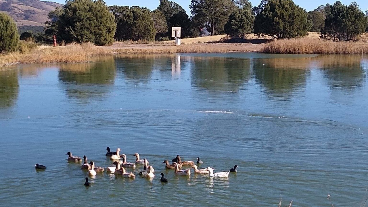 Photo of Others in Timberon