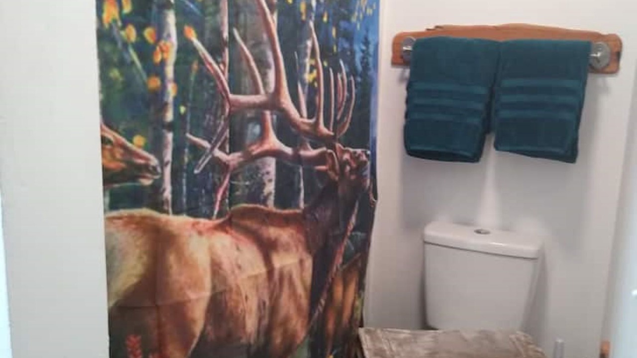 Photo of Bathroom in Timberon