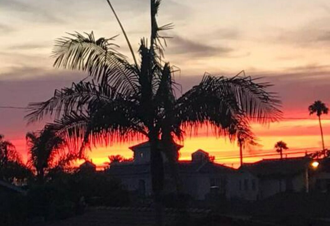 Photo of Outdoor in Seal Beach