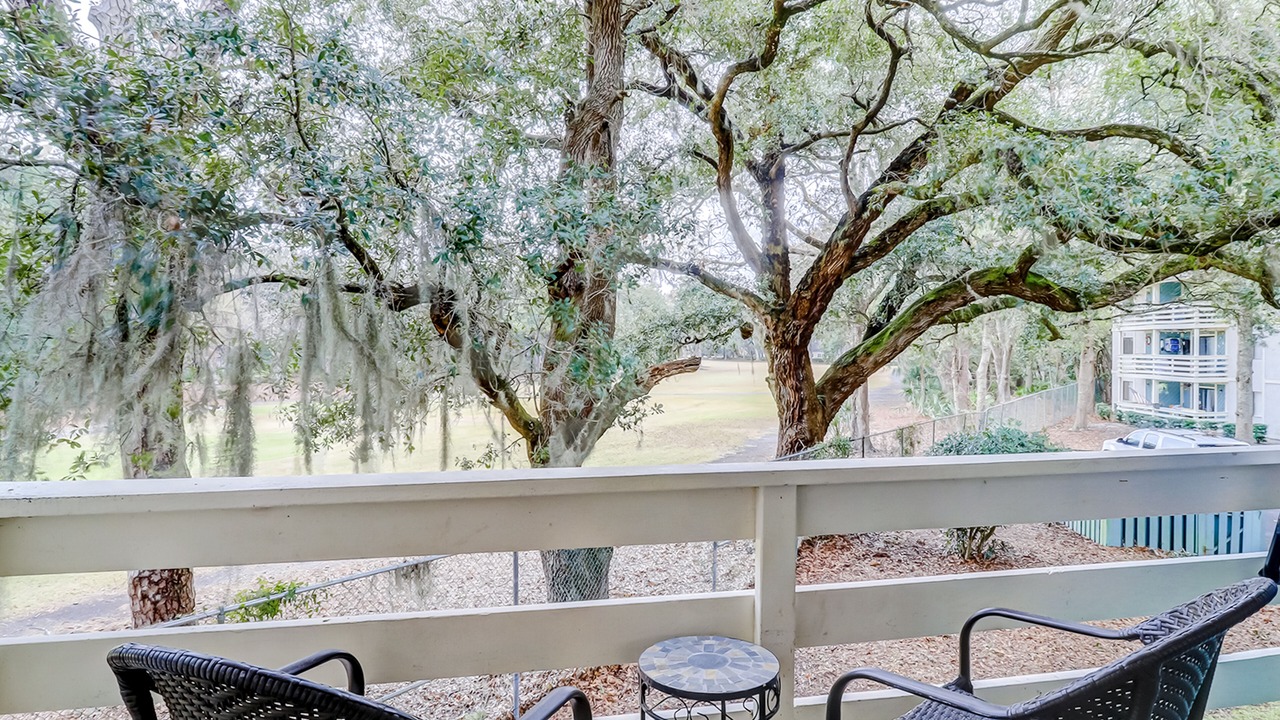Photo of Outdoor in Folly Field