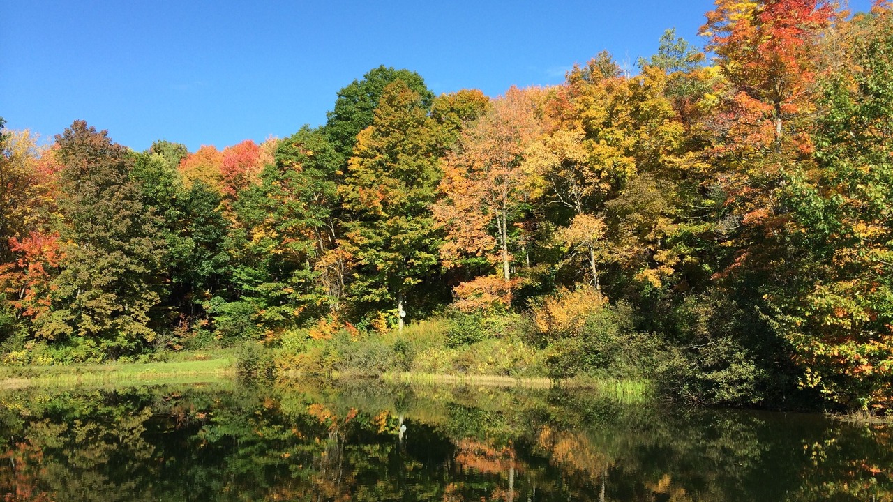 Photo of Outdoor in Hartwick