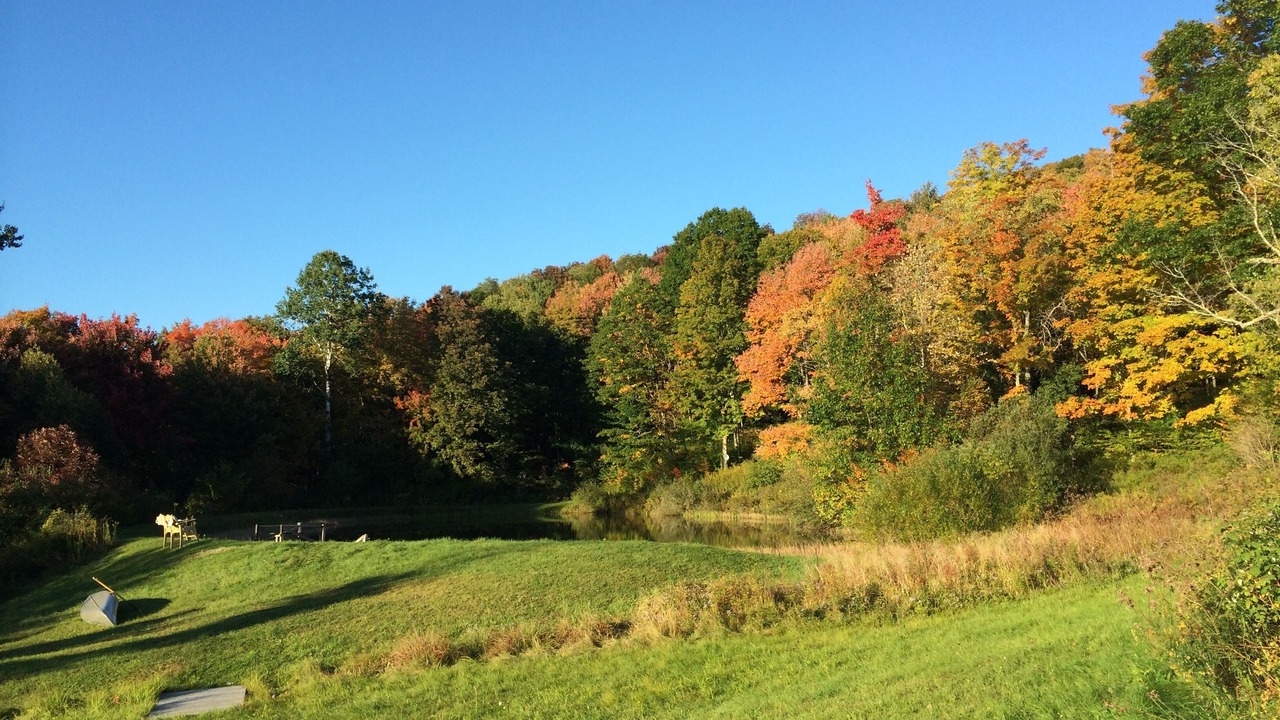 Photo of Outdoor in Hartwick