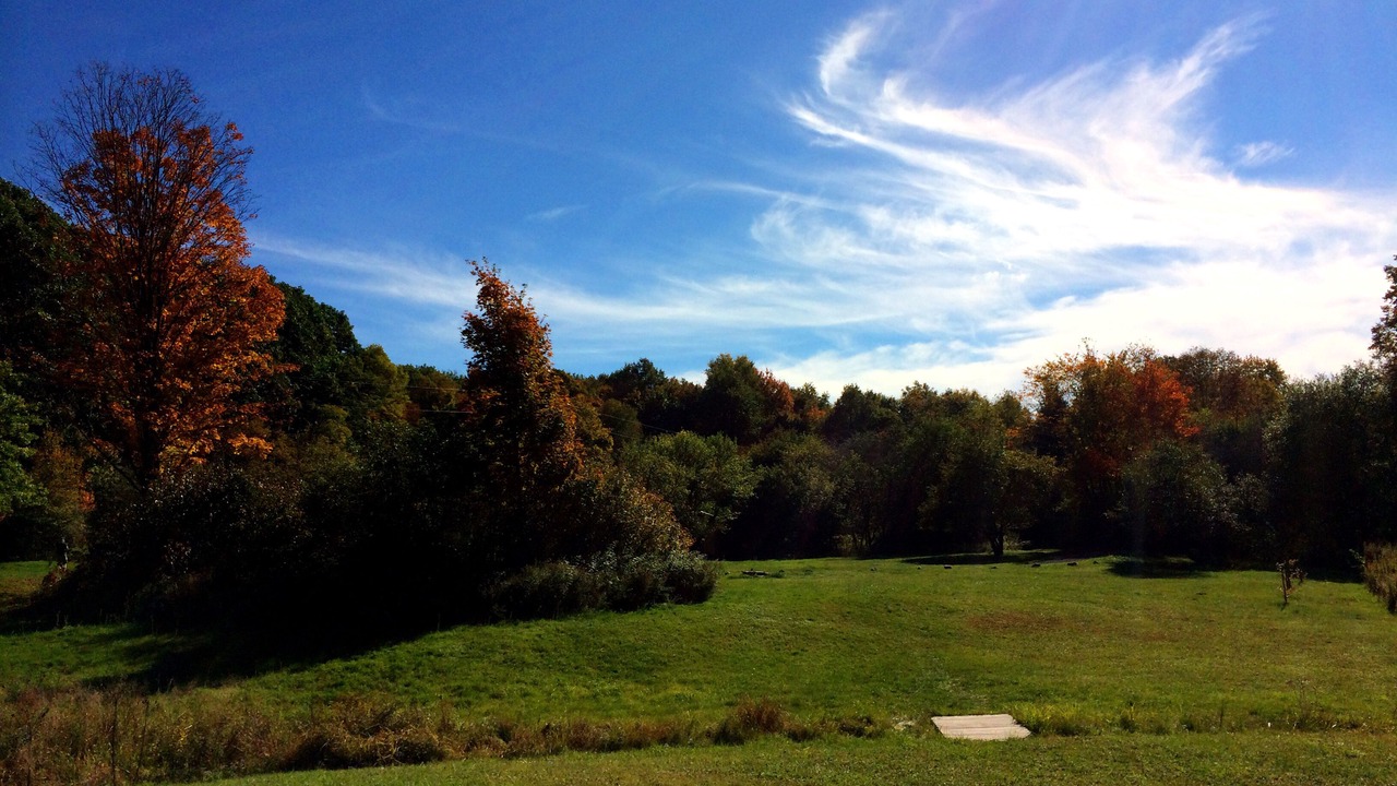 Photo of Outdoor in Hartwick