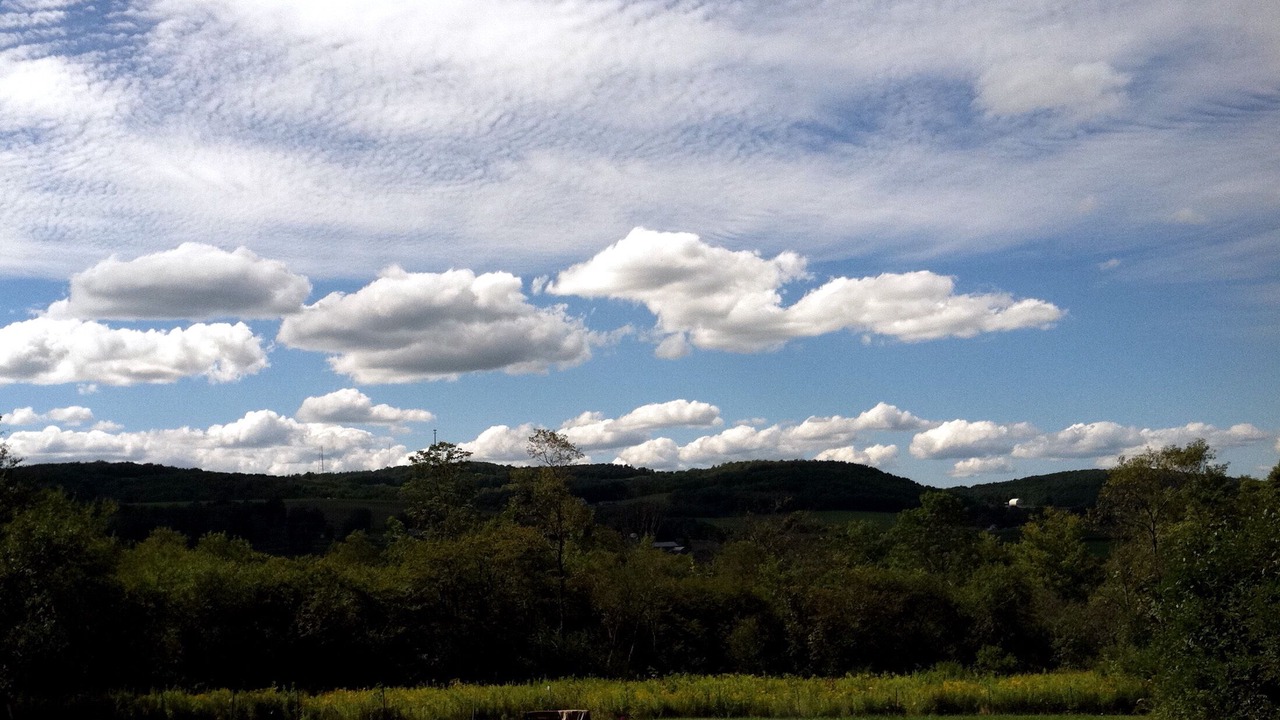 Photo of Others in Hartwick