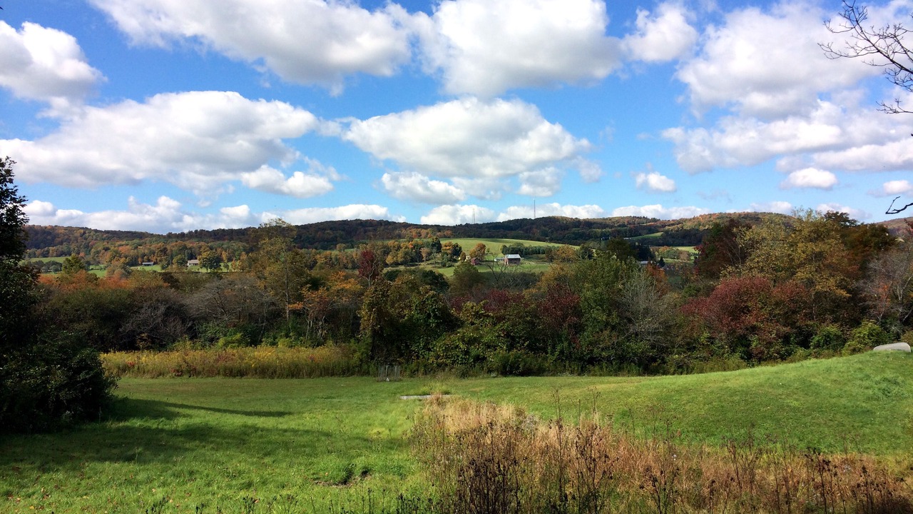 Photo of Outdoor in Hartwick