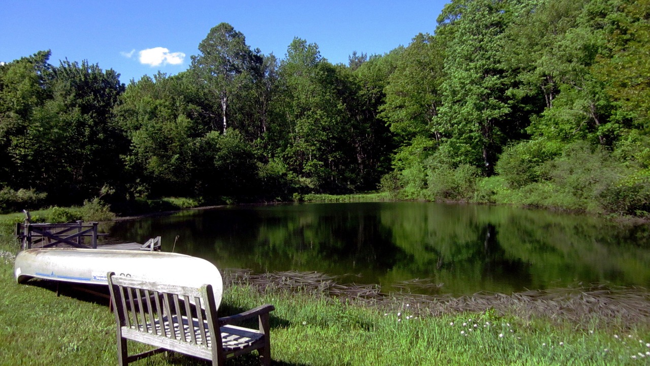 Photo of Outdoor in Hartwick