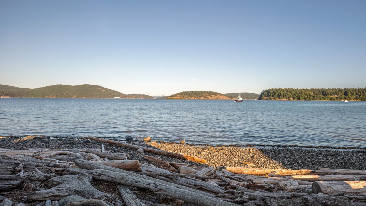 Photo of Others in Lopez Island