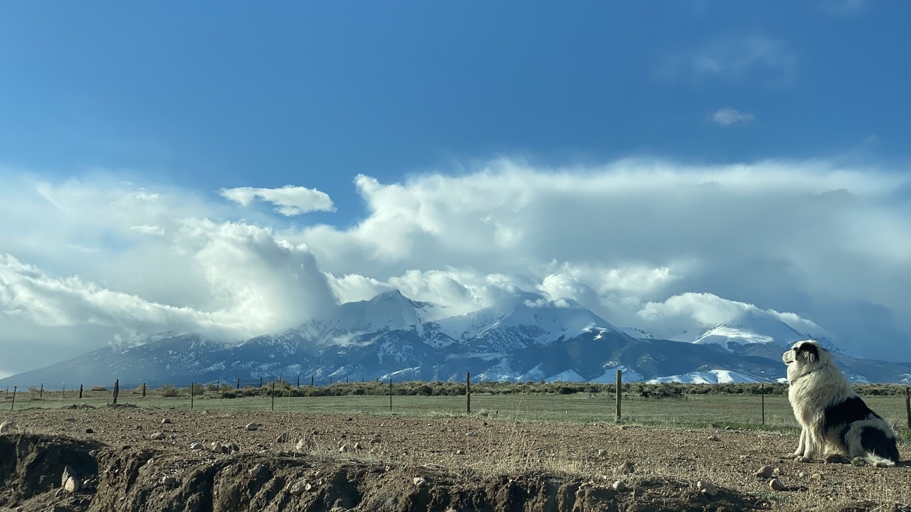 Photo of Outdoor in Blanca