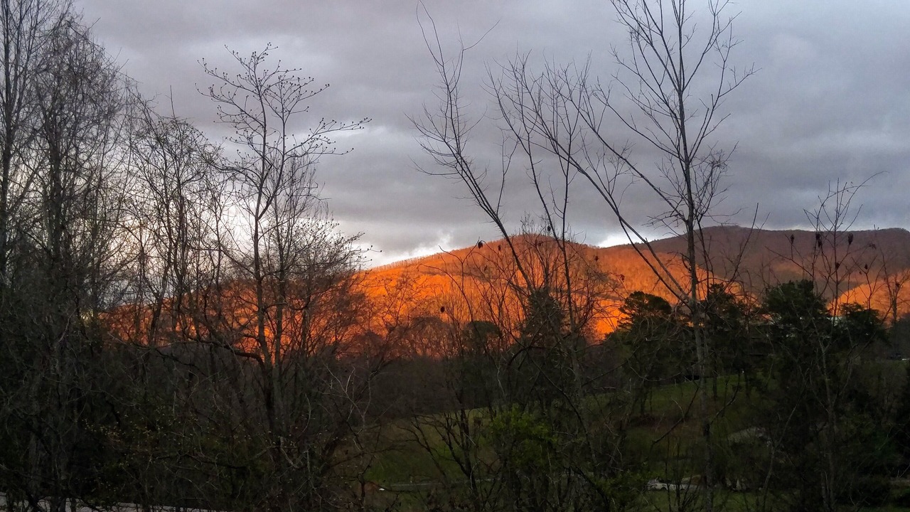 Photo of Outdoor in Cosby