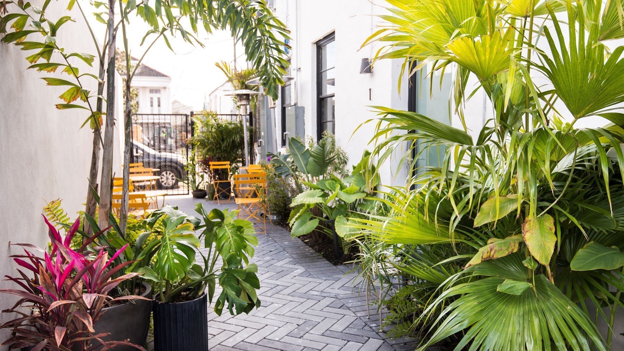 Photo of Patio Balcony in South 7th Ward