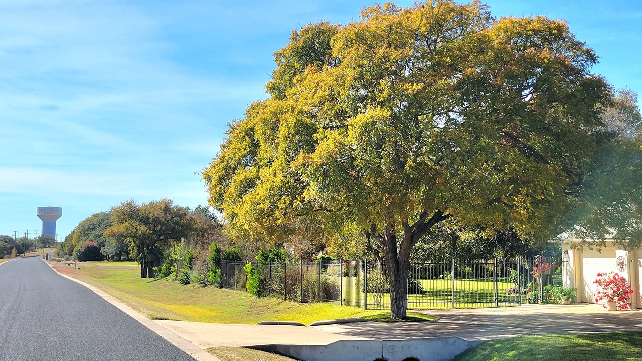 Photo of Outdoor in Sun City