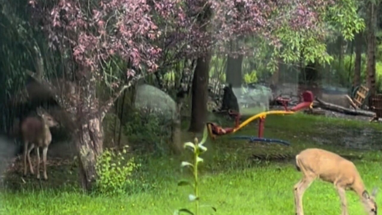 Photo of Outdoor in Arlington