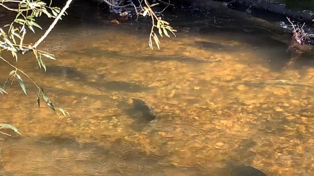 Photo of Others in Thompsonville