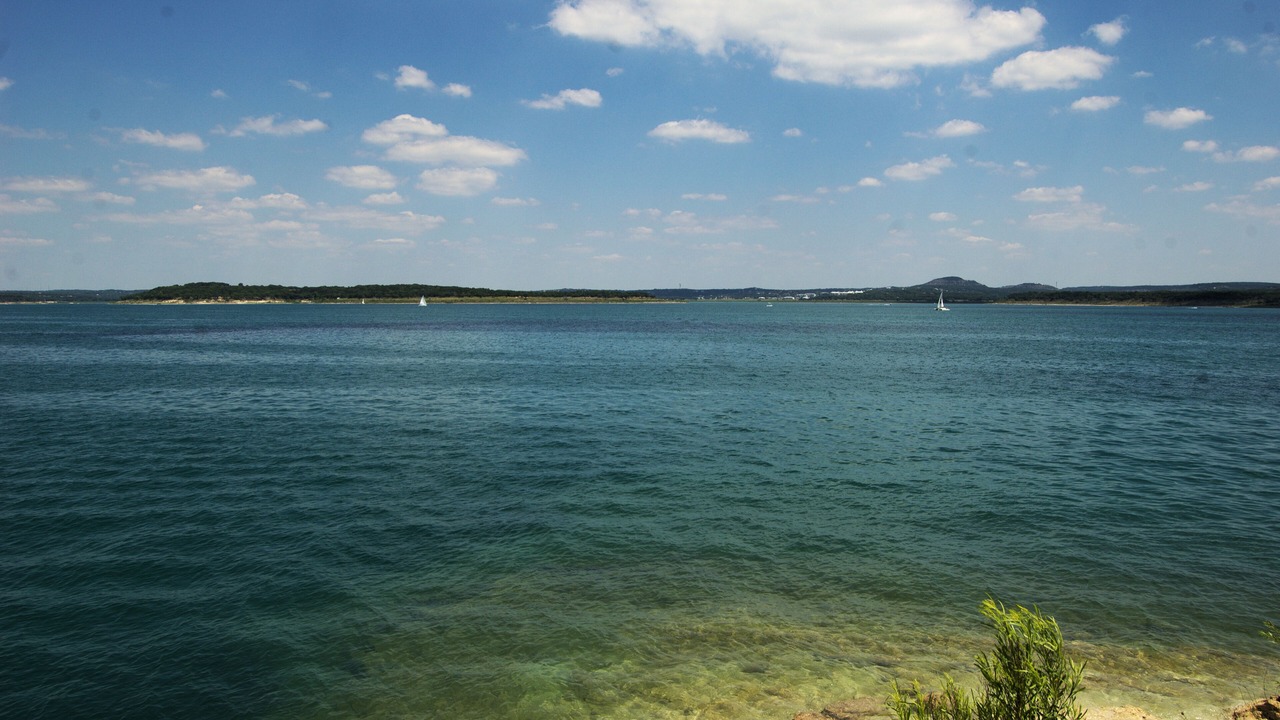 Photo of Others in Spring Branch