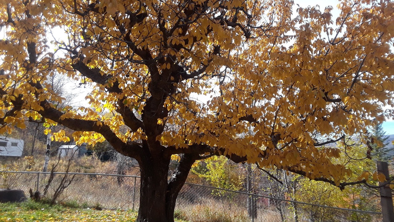 Photo of Outdoor in Paonia