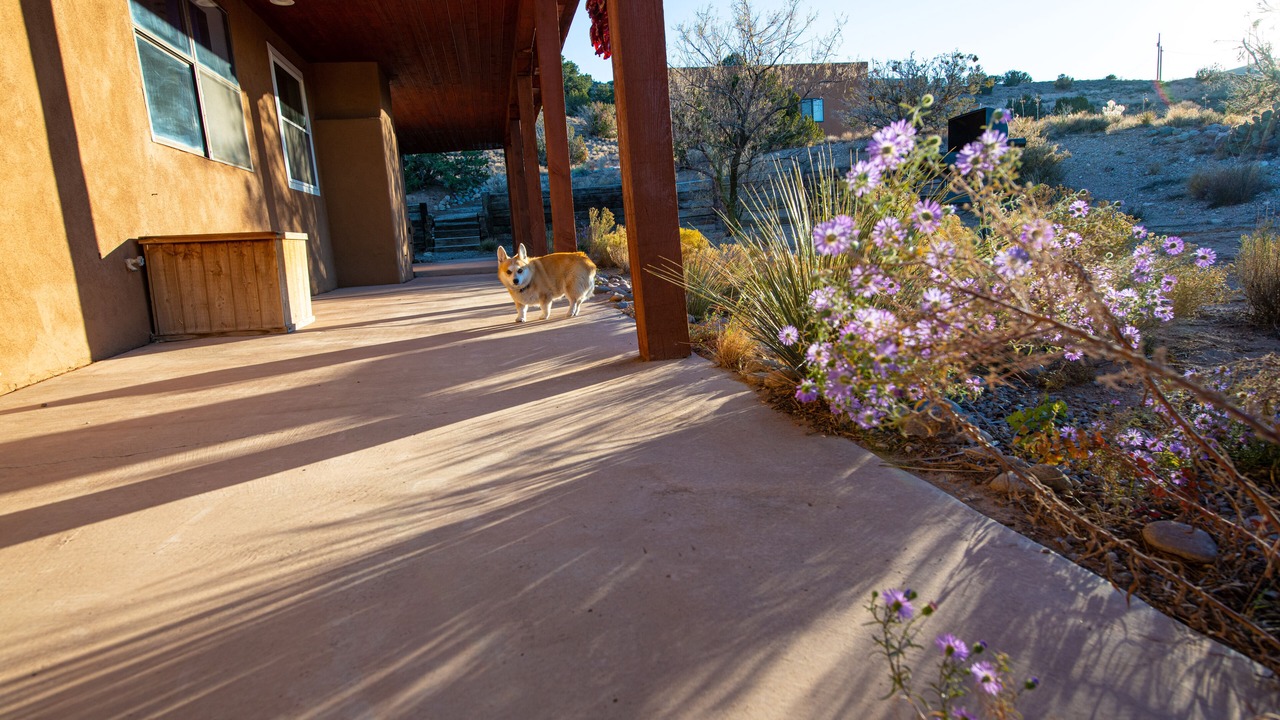 Photo of Outdoor in Placitas