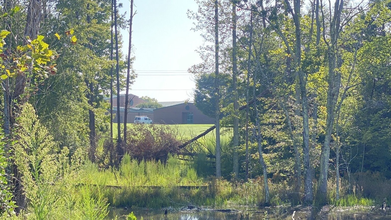 Photo of Outdoor in Inman