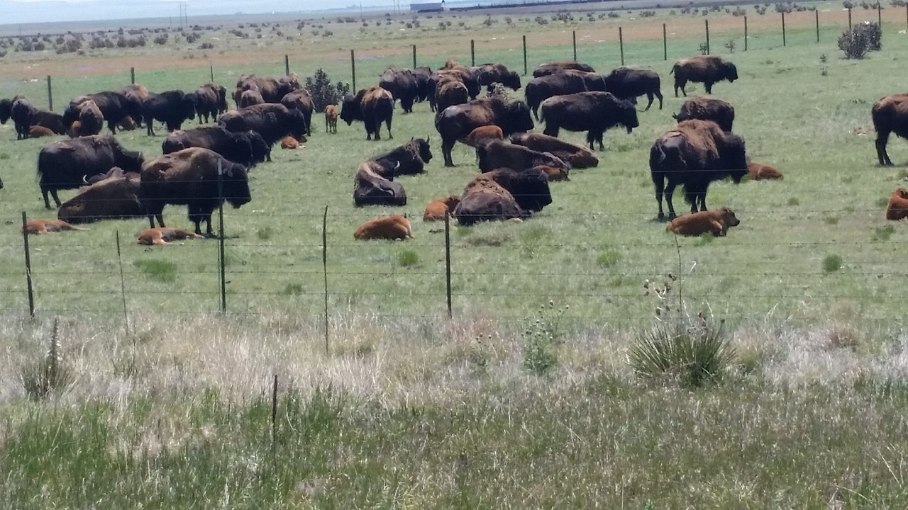Photo of Others in Eagle Nest