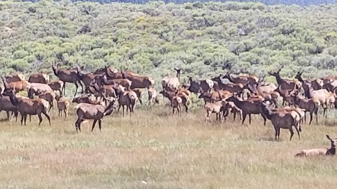 Photo of Others in Eagle Nest