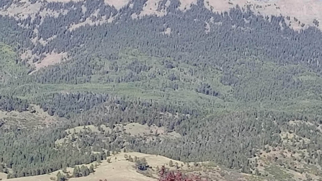 Photo of Outdoor in Eagle Nest
