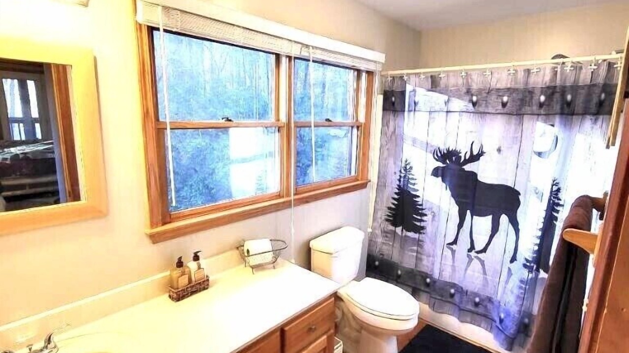 Photo of Bathroom in Ellijay