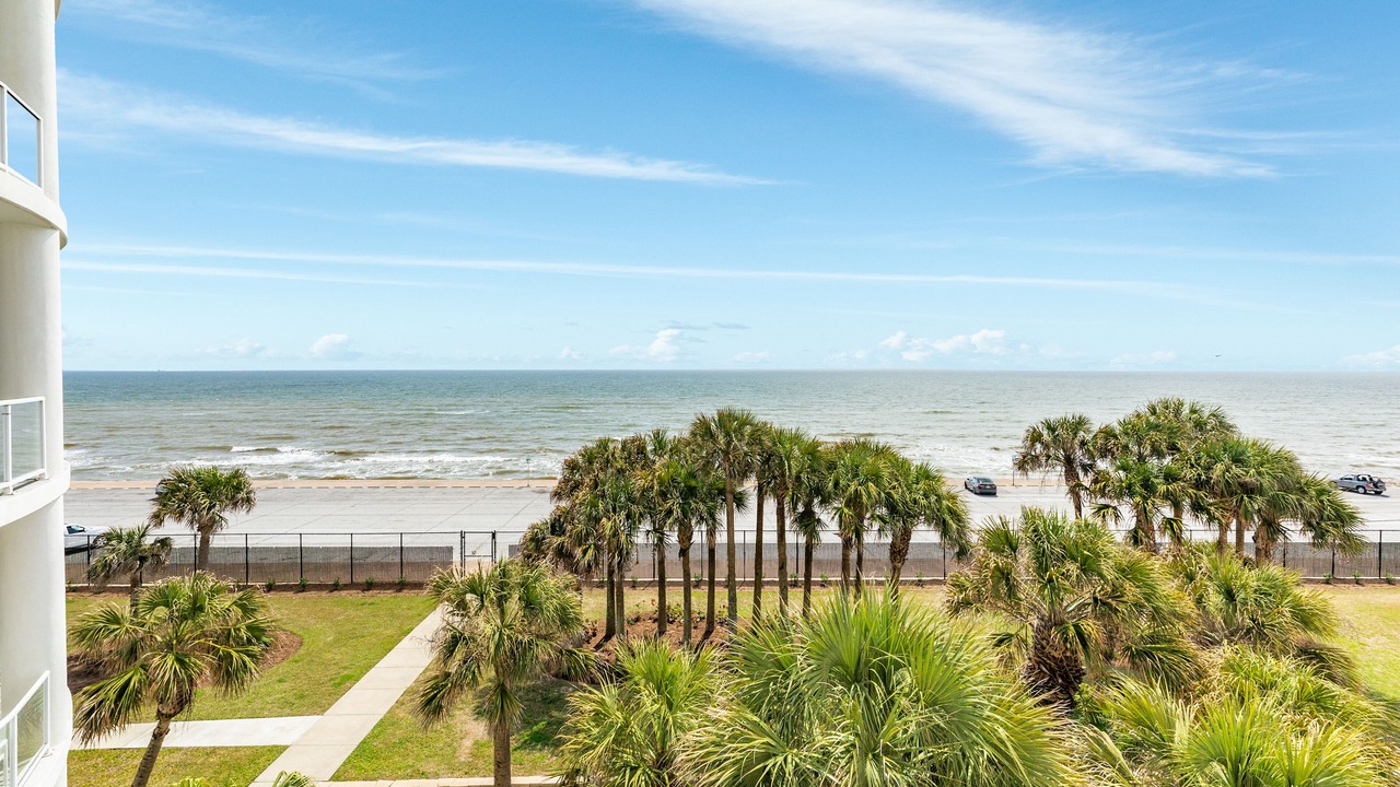 Photo of Others in Galveston