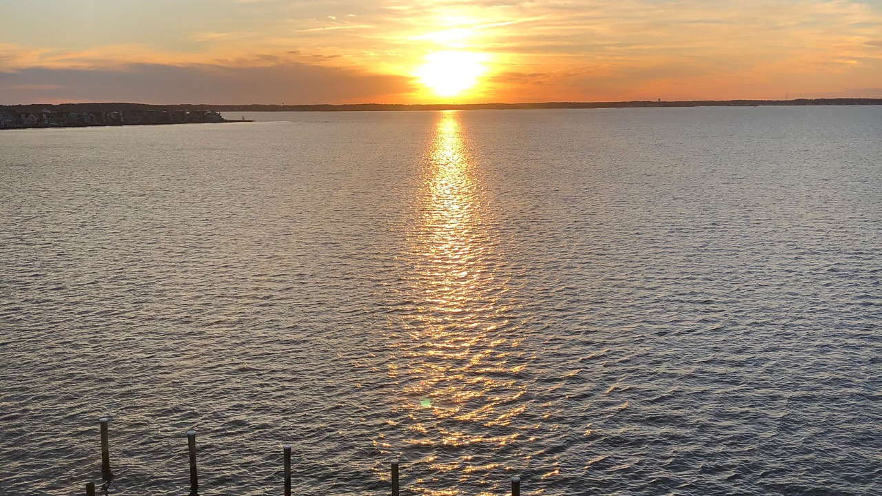 Photo of Others in Midtown Ocean City