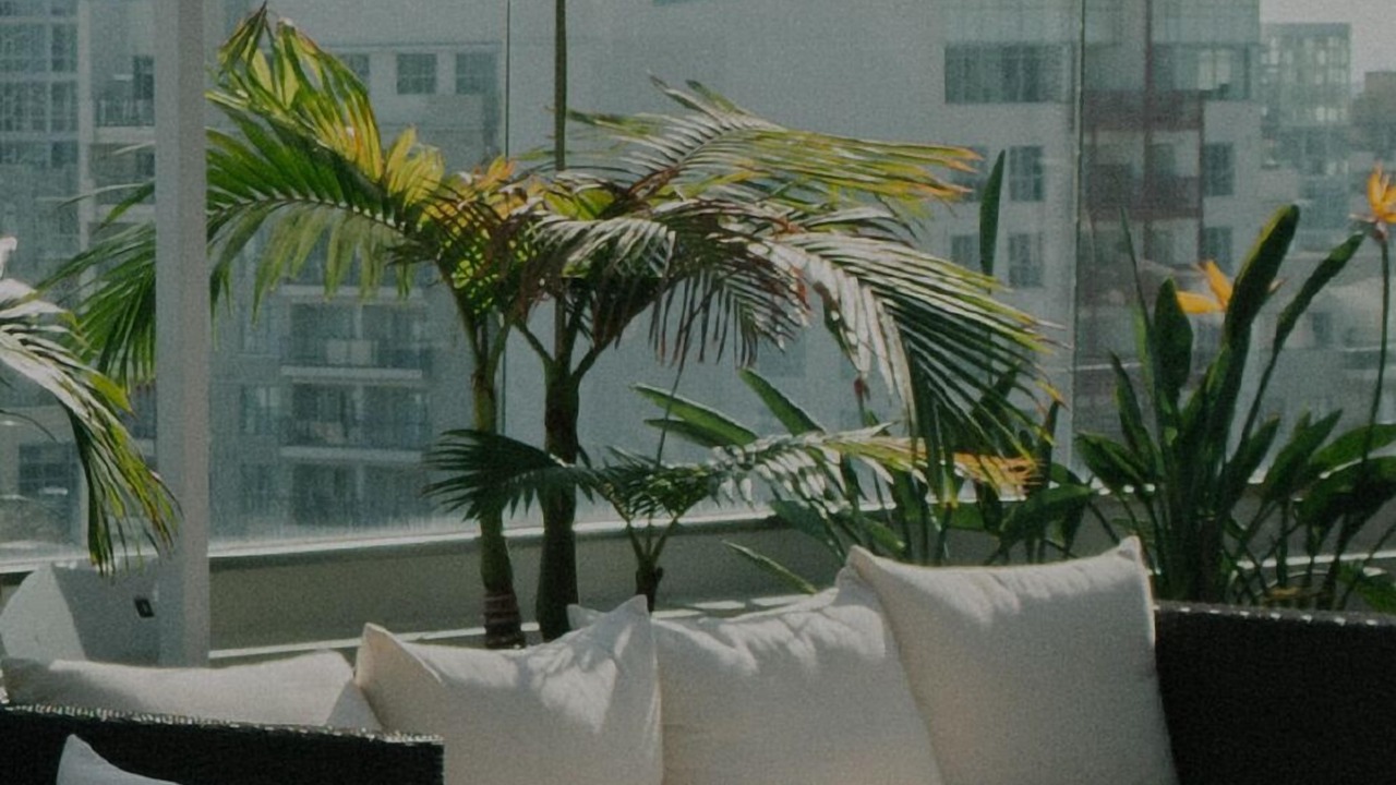 Photo of Outdoor in West Bellevue