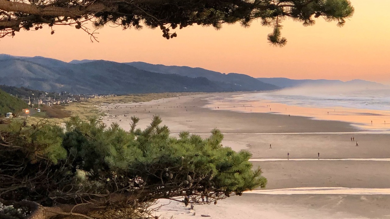Photo of Others in Neahkahnie Beach
