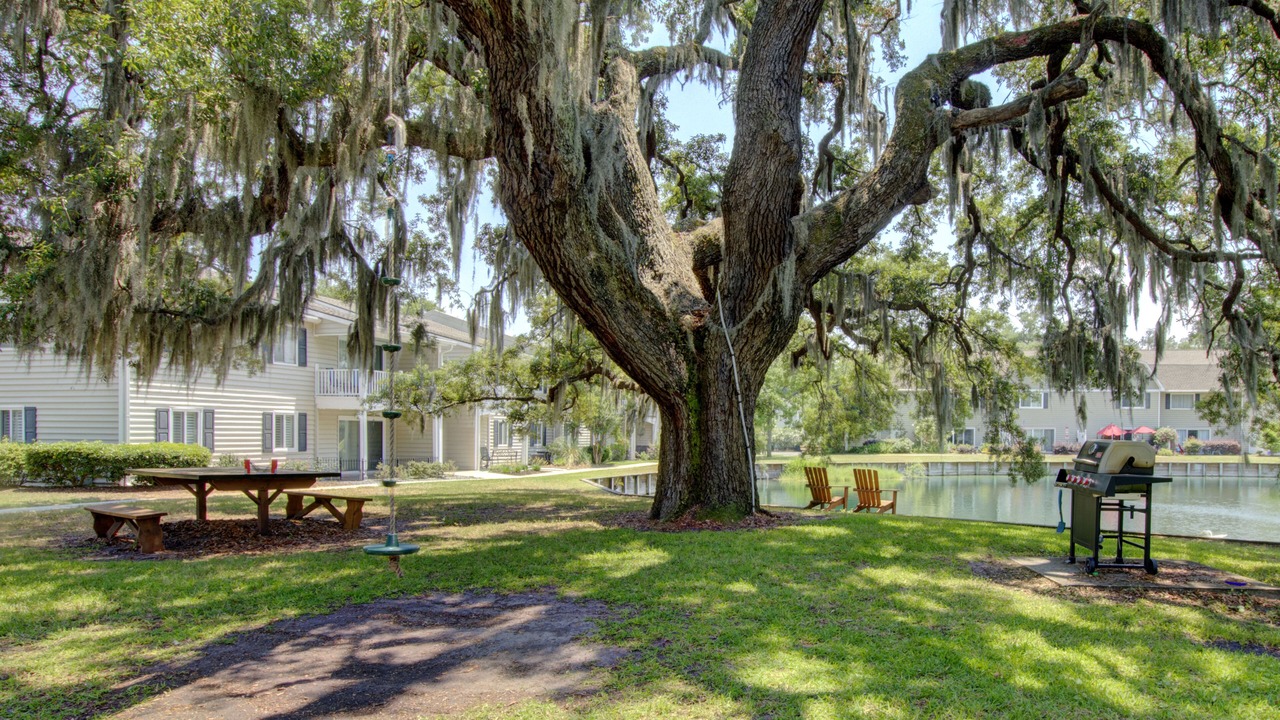Photo of Outdoor in Demere Park