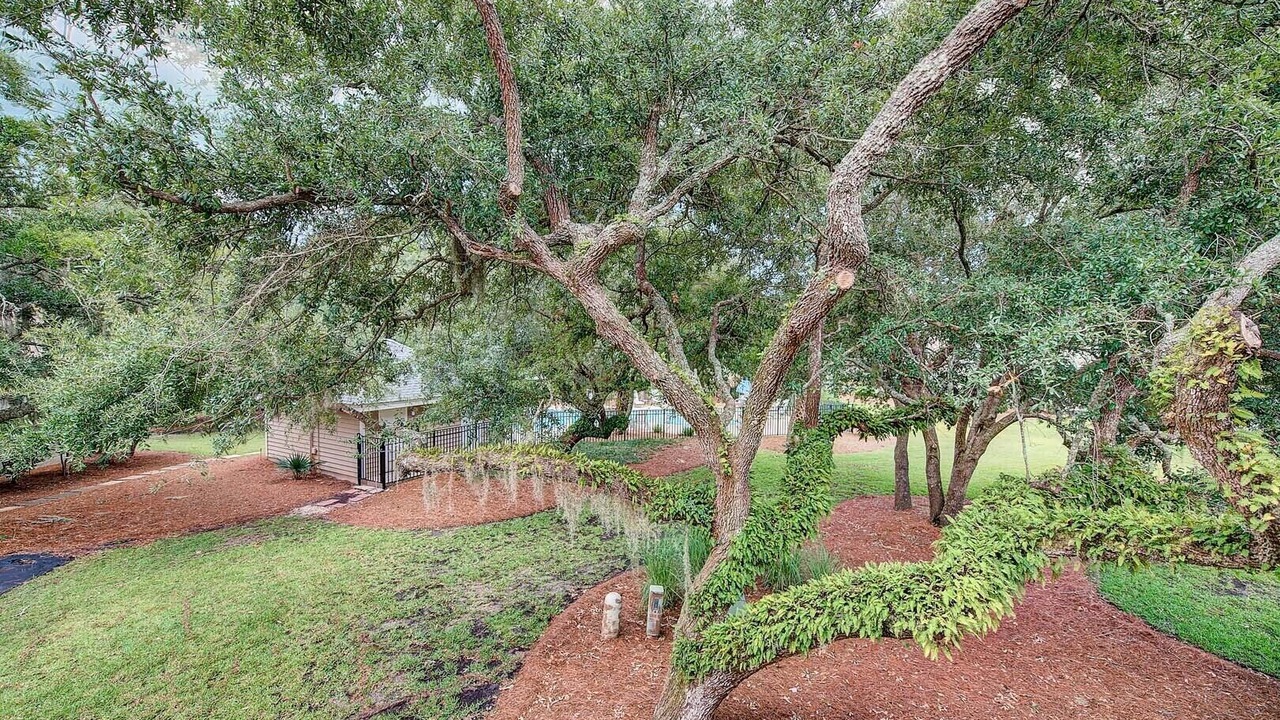 Photo of Outdoor in Debordieu Colony